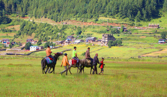 ढोरपाटनमा पर्यटक बढेपछि घोडा व्यवसाय फस्टाउँदै
