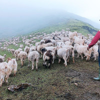 मुस्ताङमा कांग्रेसको  जित, भत्कियो एमालेको गढ