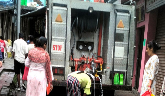 दार्चुलाको प्रतिनिधिसभामा बडू र प्रदेश सभामा धामी निर्वाचित