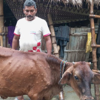 पाल्पा –२ मा एमालेका ठाकुर गैरे निर्वाचित