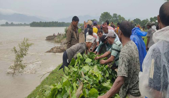 कटानका कारण बस्ती जोखिममा