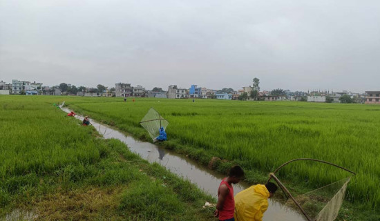 स्टुडेन्ट एफसीको सहज जित