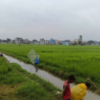 काजकिस्तानकी अलेना काठमाडौँ स्पाइकर्समा