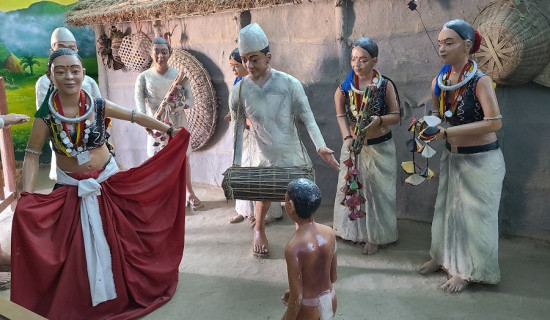 दाङको गन्तव्य बन्दै थारू संग्राहलय