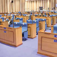 पासो थाप्ने सिकारी नै बने बाघको सिकार