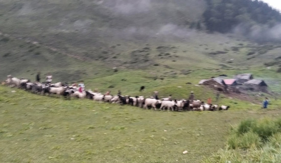 मुगुमा पहिलो महिला वडाध्यक्षमा निर्वाचित