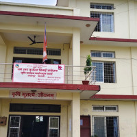 कांग्रेस क्षेत्रीय सभापति बोहरा अमरगढी–७ मा प्यानलसहित निर्वाचित
