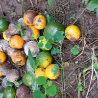 औद्योगिक पर्यटन मेला सम्पन्न