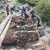 कांग्रेस क्षेत्रीय सभापति बोहरा अमरगढी–७ मा प्यानलसहित निर्वाचित