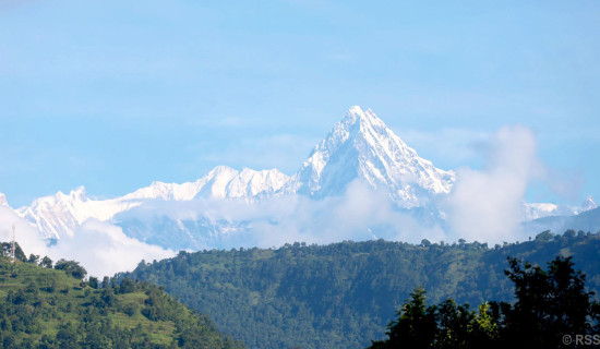 कान्छीमाया महिला वडाध्यक्षमा निर्वाचित