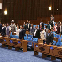प्रतिनिधिसभा  : स्वास्थ्य उपचार नपाएकामा चिन्ता