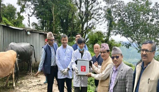 राप्ती स्वास्थ्य विज्ञान प्रतिष्ठानले आइतबार सार्वजनिक बिदा नदिने