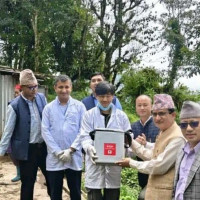 चट्याङ लागेर एक जना घाइते