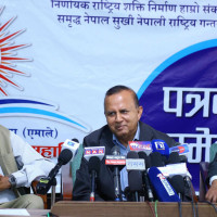 एक हप्तामा थपिए २६० जना डेङ्गु सङक्रमित