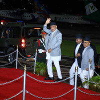मानिसभन्दा भेडा बढी भएको देश