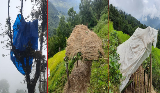बाली जोगाउन रात भर जाग्राम