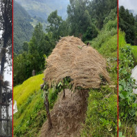 लोक सेवाले शाखा अधिकृतको दरखास्त आह्वान  गर्दै