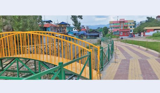 पुङ्गीखोला संरक्षण गर्दै महानगर