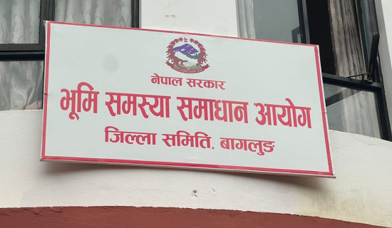 पुङ्गीखोला संरक्षण गर्दै महानगर