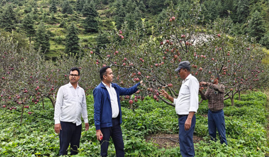समावेशीकरणको दिशामा नयाँ फड्को : गोरखापत्रद्वारा प्रकाशित राजवंशी भाषा