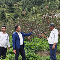 गोरखापत्रका सामग्री अब नेपाली पात्रोमा