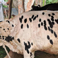 सुशासन र आर्थिक वृद्धितर्फ जोड दिएका छौँ