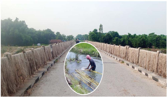 हदम्याद हटाउने निर्णय अध्ययनपछि मात्र