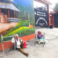 बस दुर्घटना हुँदा ११ जना यात्रु घाइते