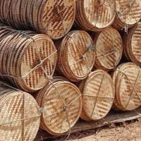 सङ्खुवासभा सभापोखरीमा काँग्रेस नेतृत्वको गठबन्धन विजयी