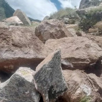 सङ्ग्रहालय अवलोकन गर्ने बढ्दै