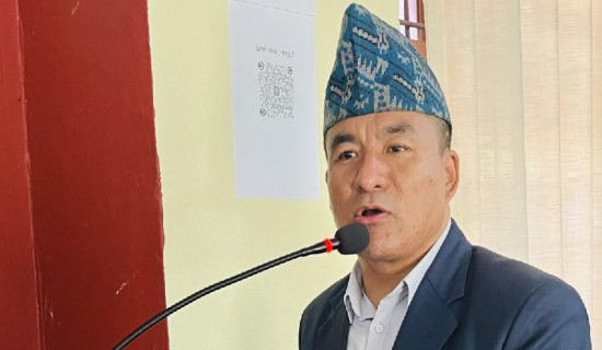 बस दुर्घटना हुँदा ११ जना यात्रु घाइते