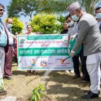 लगानीमा ध्यान दिनुपर्ने विषय
