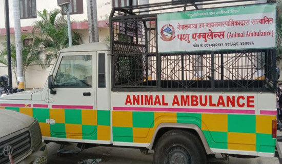 नेपालगञ्जमा ‘एनिमल एम्बुलेन्स’ सञ्चालन