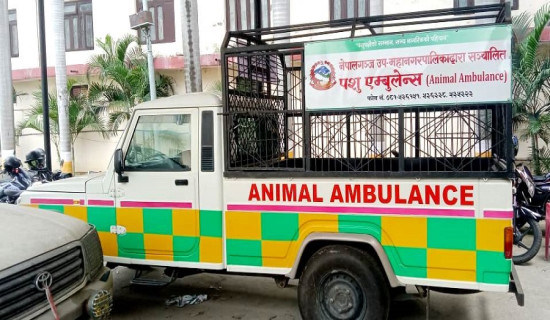 शपथ लिँदै निर्वाचित जनप्रतिनिधि