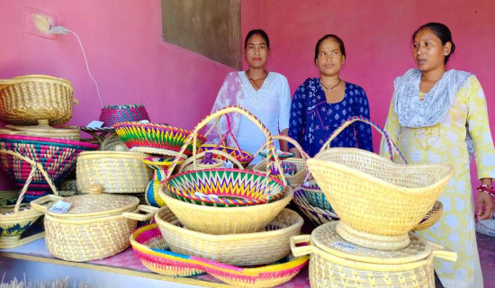 महिलालाई ढकिया बनाउन भ्याइ नभ्याई