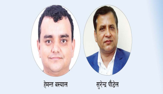 नेप्सेमा बस्याल पुनर्बिमामा पौडेल