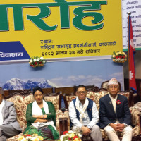 मैैथिली भाषा