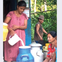 नेप्सेमा बस्याल पुनर्बिमामा पौडेल