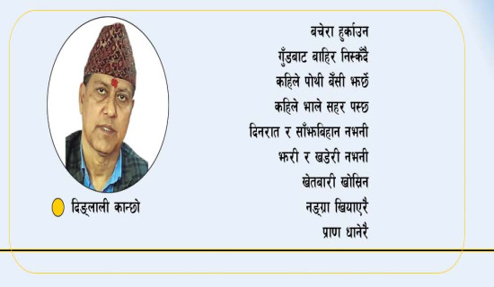 नेप्सेमा बस्याल पुनर्बिमामा पौडेल