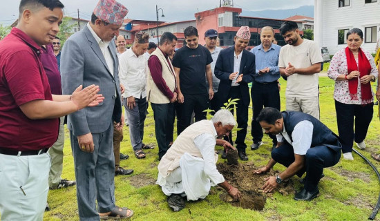 प्रदेश राजधानी परिसरलाई हरियाली बनाइँदै