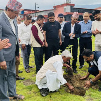 नेप्सेमा बस्याल पुनर्बिमामा पौडेल