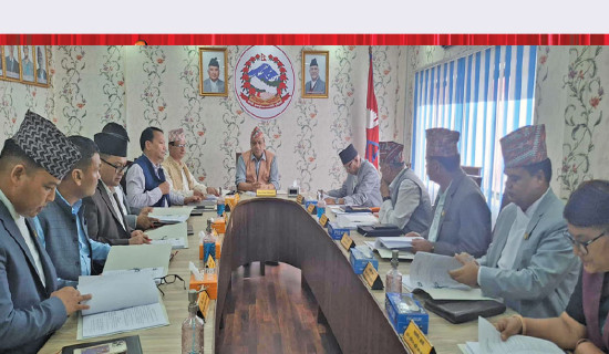 नेप्सेमा बस्याल पुनर्बिमामा पौडेल