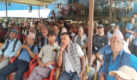 शुभकामनाको मुनाफा साढे १२ लाख