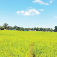 व्यापार घाटा १०.३८ प्रतिशतले कम
