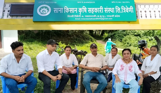 सहकारीका कर्मचारी आन्दोलित