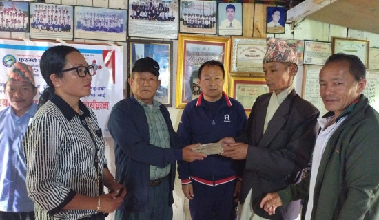 ७६ जिल्लामा फैलियो डेंगु सङ्क्रमण : कास्कीमा सबैभन्दा बढी