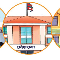 निर्वाचनमा लाभ, हानिको बहस