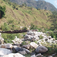 आजका लागि विदेशी मुद्राको विनिमयदर