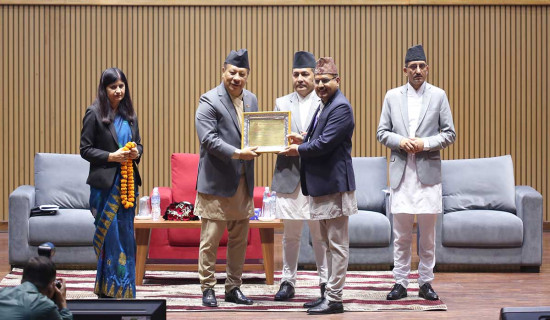 निजामती विधेयक छिट्टै पारित हुन्छः उपप्रधानमन्त्री सिंह