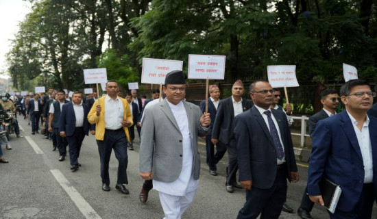 तस्बिरमा निजामती दिवस